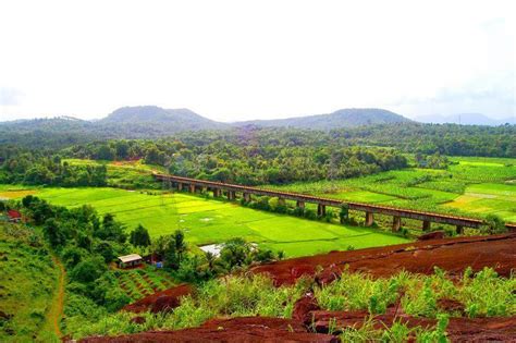 paddy field | Paddy field, Kerala, Outdoor