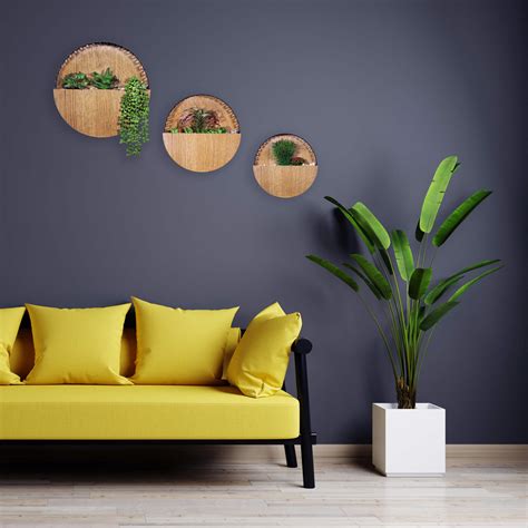 Wall Planters - designITezy