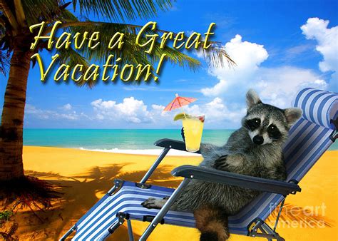 Have A Great Vacation Raccoon Photograph by Jeanette K