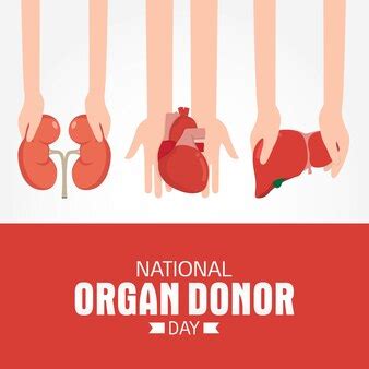 Free National Organ Donor Day Vectors, 10+ Images in AI, EPS format