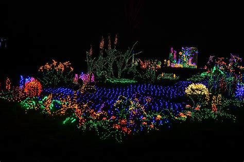 Garden D'lights | Garden D'Lights, Bellevue, WA | Anupam_ts | Flickr