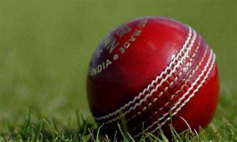 Cricketer hit by ball, dies in South Africa | Cricket News – India TV