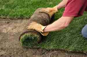 How To Lay Turf Lawn Preparation