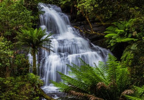 Waterfalls in the Otways : Treasures of the Great Otway National Park