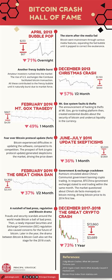 Bitcoin Price Crash: What to Know & How to React (Bitcoin Infographic)