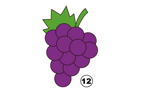 Update 80+ sketch of grapes fruit best - seven.edu.vn