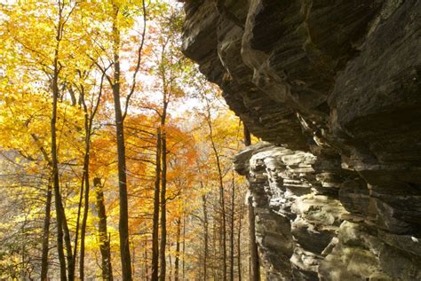 Top 3 Hiking Trails in Asheville | Yonder Luxury Vacation Rentals