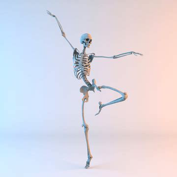 Skeleton Poses 이미지 – 찾아보기 13,495 스톡 사진, 벡터 및 비디오 | Adobe Stock