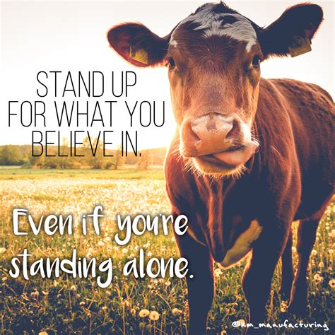Always stand up for what you believe in. #inspiration #farmlife #agriculture #quote #cow # ...