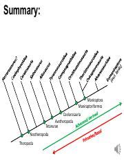 Exploring the Evolution and Classification of Theropoda and | Course Hero