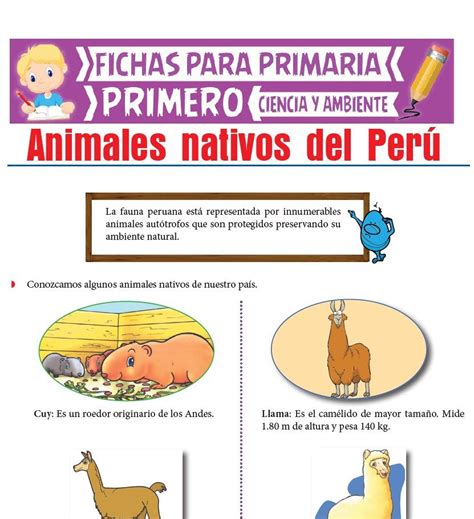 Animales Nativos del Perú para Primero de Primaria