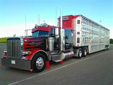 5670 best Bull Haulers, Cowhaulers & Livestock Haulin' images on ...