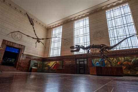 Texas Memorial Museum Reopens with a Dino-Sized Roar as the Texas Science & Natural History ...