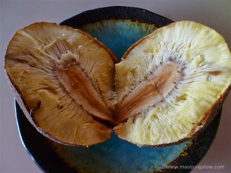 Maui Jungalow: Ulu (Hawaiian for Breadfruit, the Tree of Plenty)