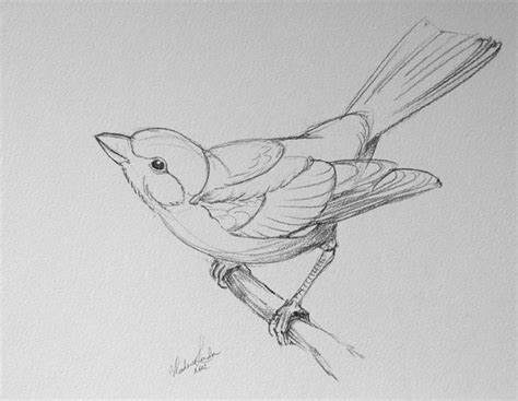 How to Draw a Bird - Video Lesson by Drawing Academy | Bird drawings ...