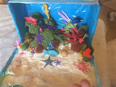 Coral reef diorama | School kids crafts, Aquarium craft, Crafts