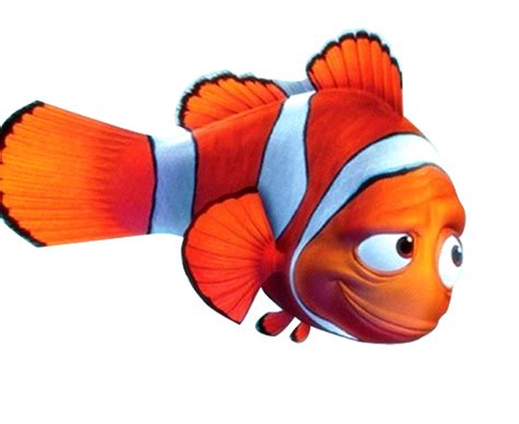 Finding Nemo Png