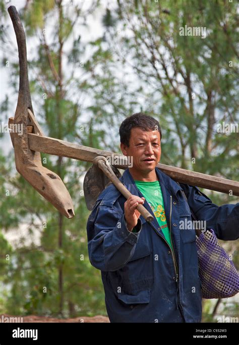 A farmer carries his heavy wood plough to his farm in the fertile Punakha Valley Stock Photo - Alamy