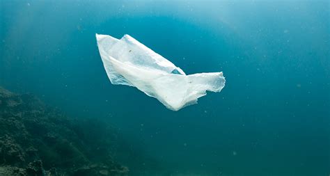 'Biodegradable' plastic bags often don’t break down