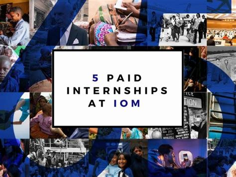 5 PAID Internships at IOM - International Organization for Migration - New paid internships 2024