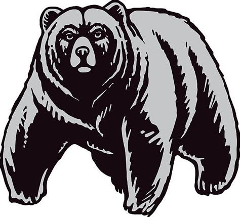 Best Kodiak Brown Bear Illustrations, Royalty-Free Vector Graphics ...