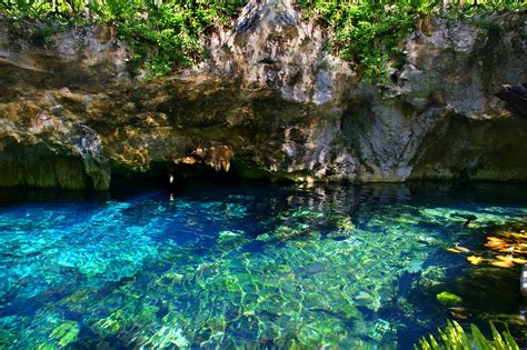 Gran Cenote in Tulum - Swim in One of Mexico’s Beautiful Blue Cenotes - Go Guides