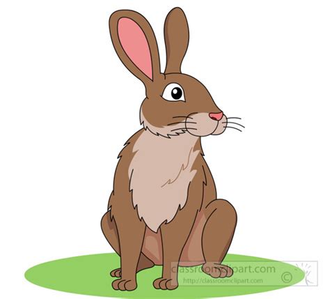 rabbit pictures clipart 10 free Cliparts | Download images on ...