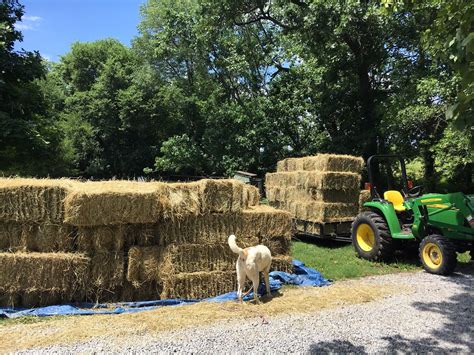 The Hay Is in the Barn – Lowerpondfarm