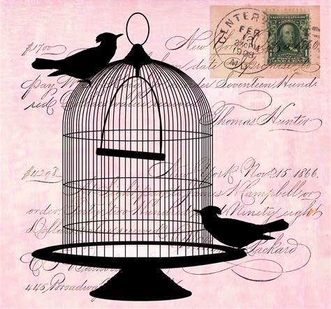 Vintage Birds Cage Script Free Stock Photo - Public Domain Pictures