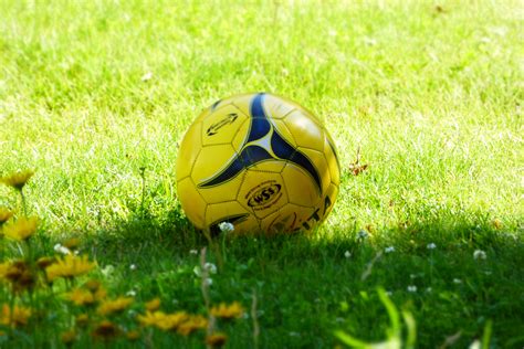 Free Images : grass, sport, lawn, meadow, play, green, soccer, rest, yellow, sports equipment ...