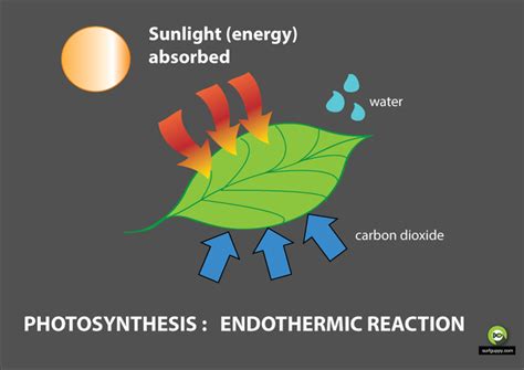 Enthalpy - Surfguppy - Chemistry made easy - visual learning