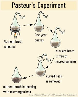 This imagine shows French Physician Louis Pasteur's experiment in which ...