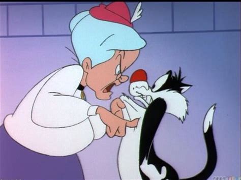 Sylvester and Granny | Sylvester the cat, Looney tunes characters ...