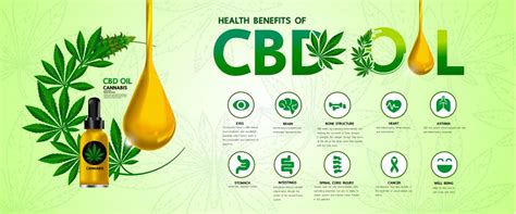 8 Benefits Of CBD For You And Your Pet - Freedom Leaf | Freedom Leaf