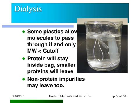 PPT - Protein Methods PowerPoint Presentation, free download - ID:5326098