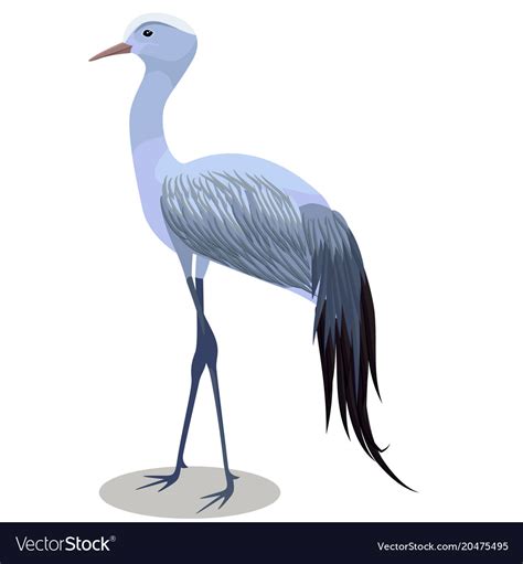 Blue crane cartoon Royalty Free Vector Image - VectorStock