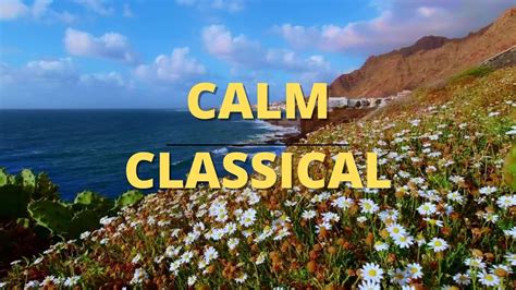 Calm Classical music- Calm classical music for studying - classical music for sleep - piano ...