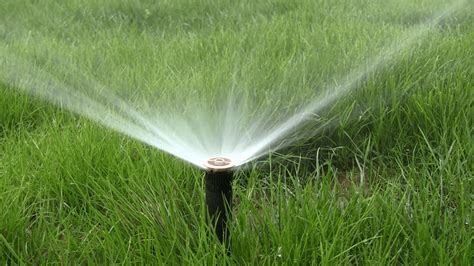 Different Types Of Irrigation System Advantages And Disadvantages ...