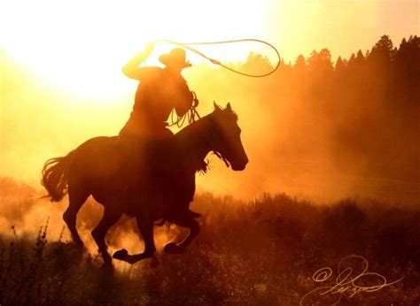 Stunning Silhouette Photography. | GoTech Zone | Silhouette photography, Horse silhouette ...