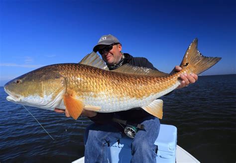 louisiana redfish fishing irwin1 - Adventure South