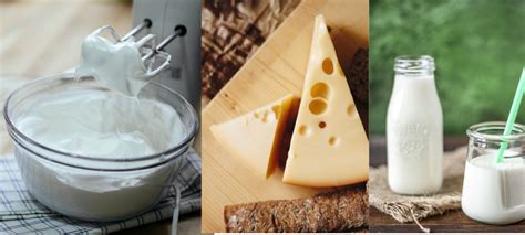 Dairy Food Group: get to know about dairy