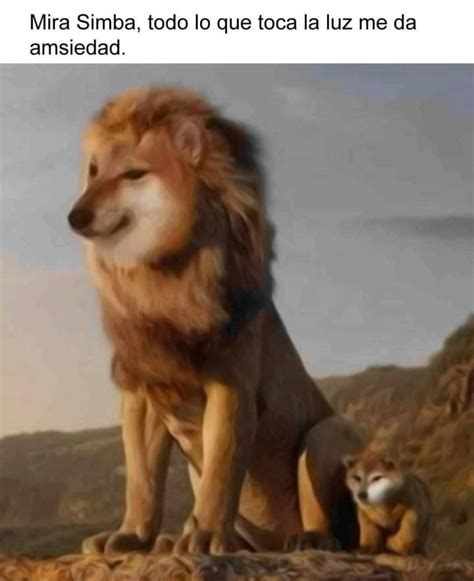 an image of a lion and a dog with caption that reads, when you're