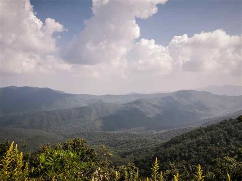 Conquering Mount Mitchell: History & Hiking Trails