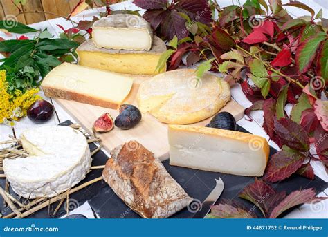 French cheese platter stock photo. Image of cuisine, french - 44871752