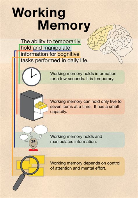 11.4 Information Processing: Learning, Memory, and Problem Solving | Understanding the Whole ...