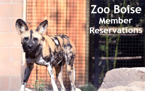 Friends of Zoo Boise Member Tickets