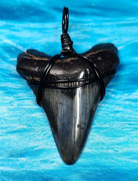 Collector Quality Megalodon Shark Tooth Necklace · L1: 2.09 L2: 1.86 · MegaTeeth