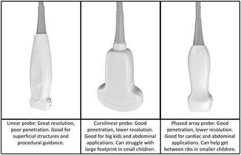 Understanding ultrasound probes | kidSONO