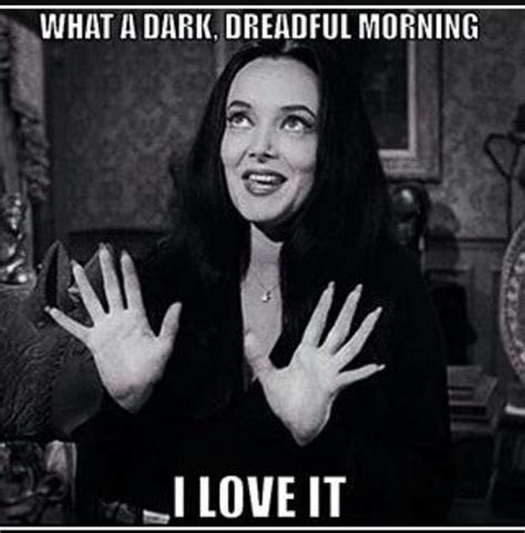 Those are my Favorite# | Addams family quotes, Goth memes, Funny horror