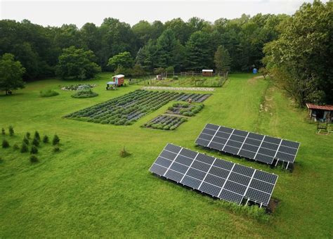 Mad Lavender Farm Installs Ground Mounted Solar Array